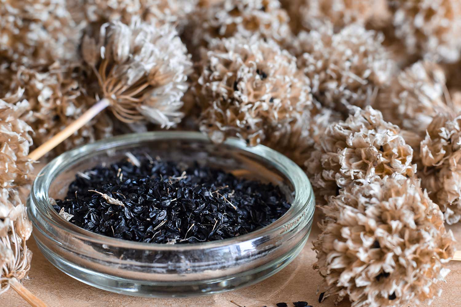 Dried chive seeds in a small bowl