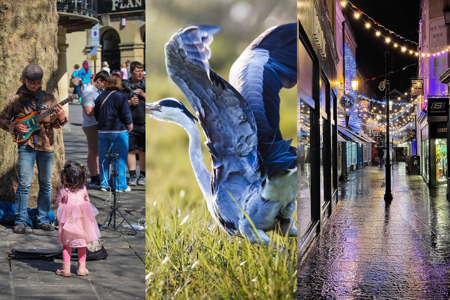 a montage of photos. A small girl looking at a musician, a bird in flight, the streets of Bath at night time.
