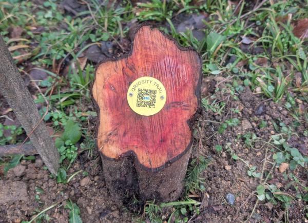 A tree stump with a QR code on it