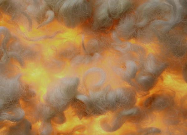 Pieces of raw wool float like clouds against a glowing background