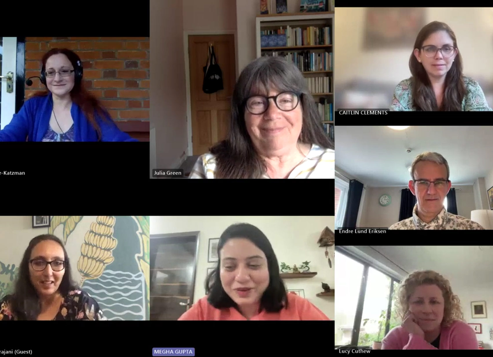Screenshot of online screen discussion