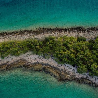 Tropical lagoon from above