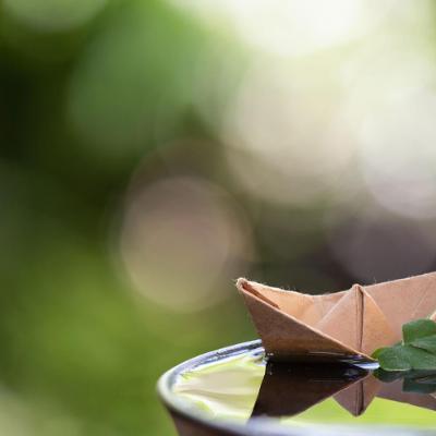 Paper boat and clover leaf floating on water in a green space