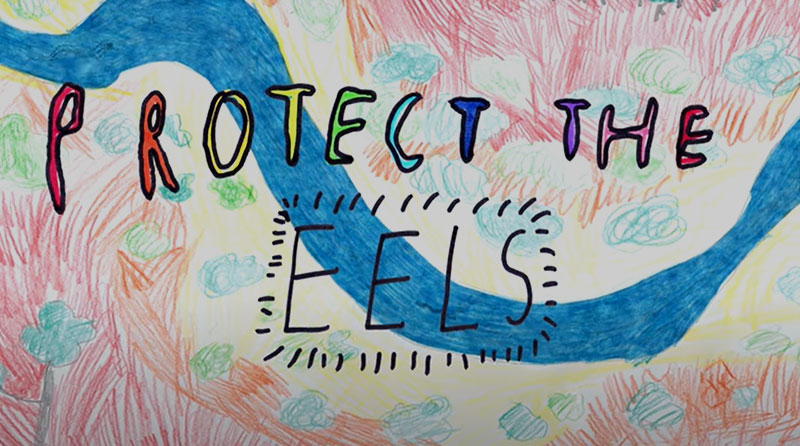 Protect the eeles video project thumbnail2