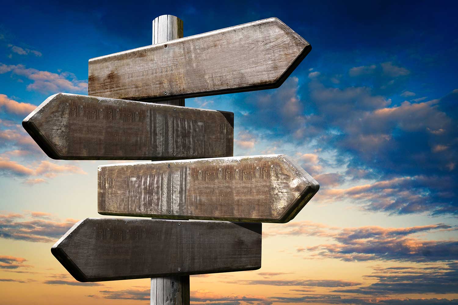 A blank signpost with arrows pointing in different directions