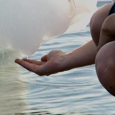 ice melting into a persons hand