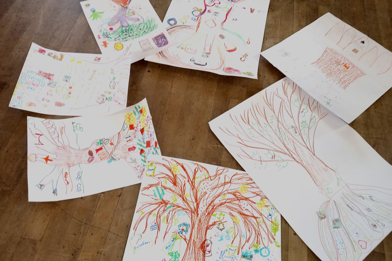 A selection of drawings showing the tree of life laid out on the floor