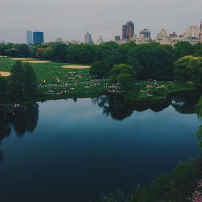 View of a park with a city in the background