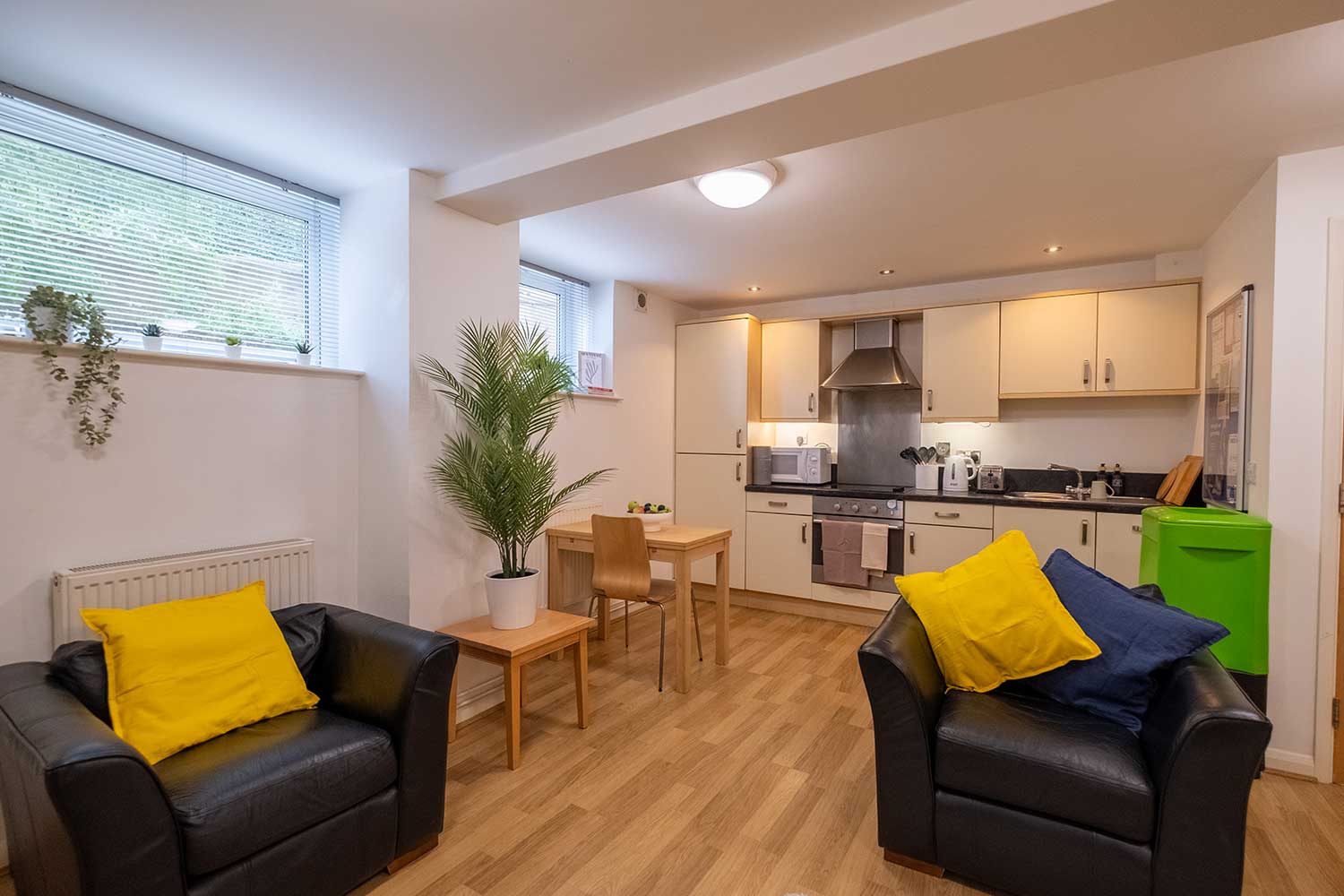 A large studio flat with a kitchen, bedroom and seating area all in one room