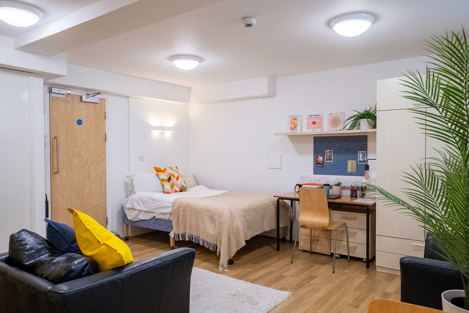 A large studio flat with a kitchen, bedroom and seating area all in one room