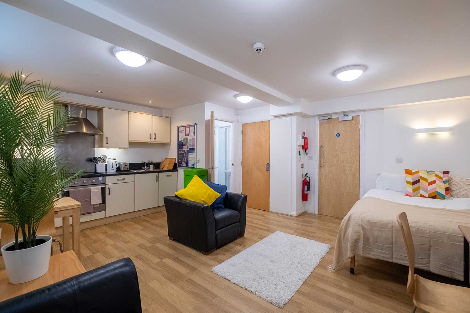 A large studio flat with a kitchen, bedroom and seating area all in one room