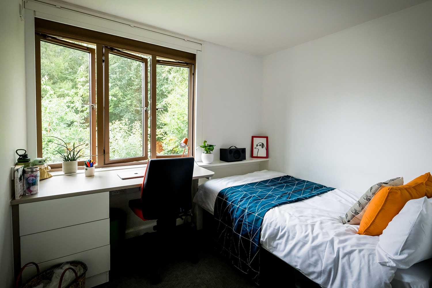 A student bedroom with green woodland outside the window
