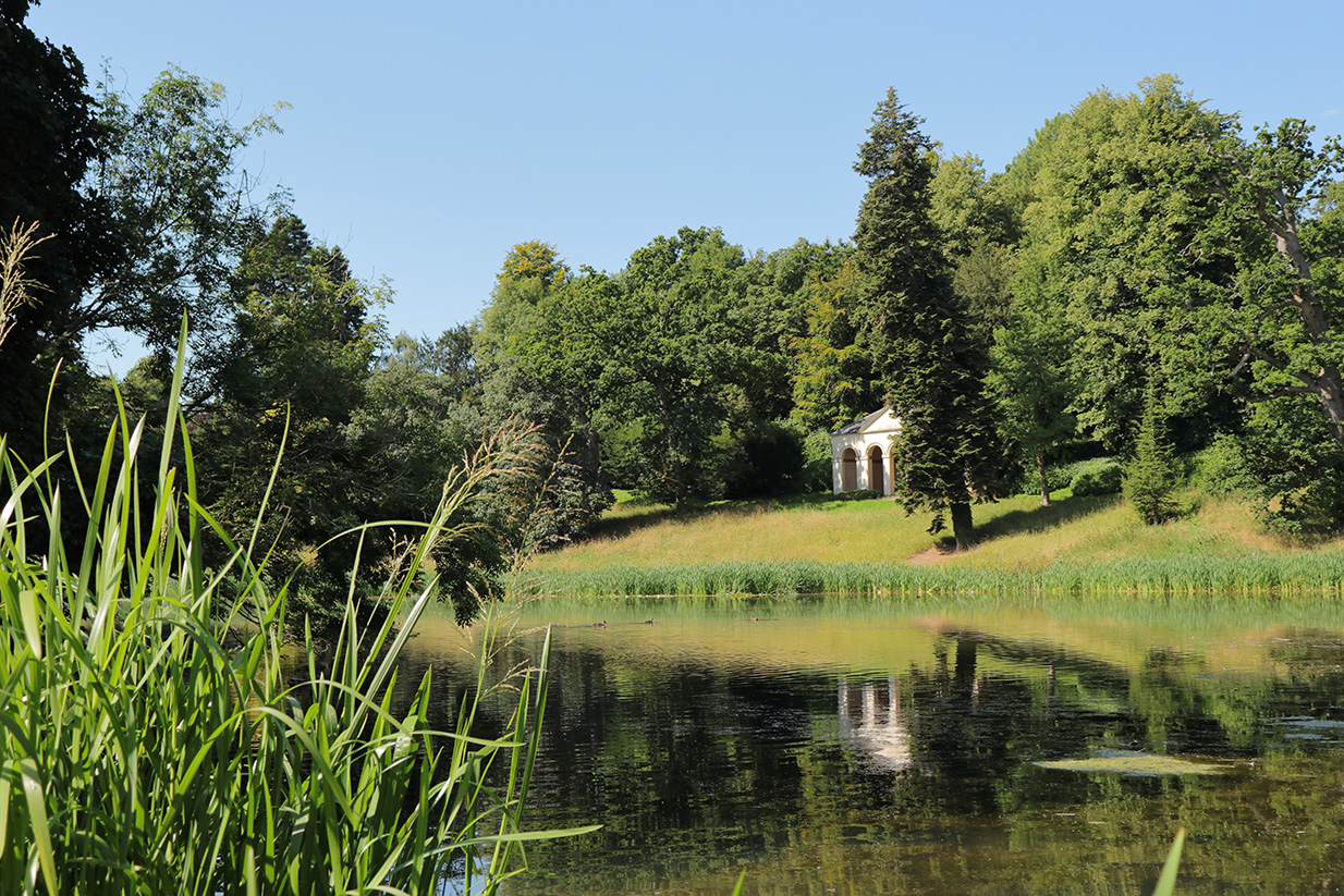 Photograph of the shore of the lake at Bath Spa University.