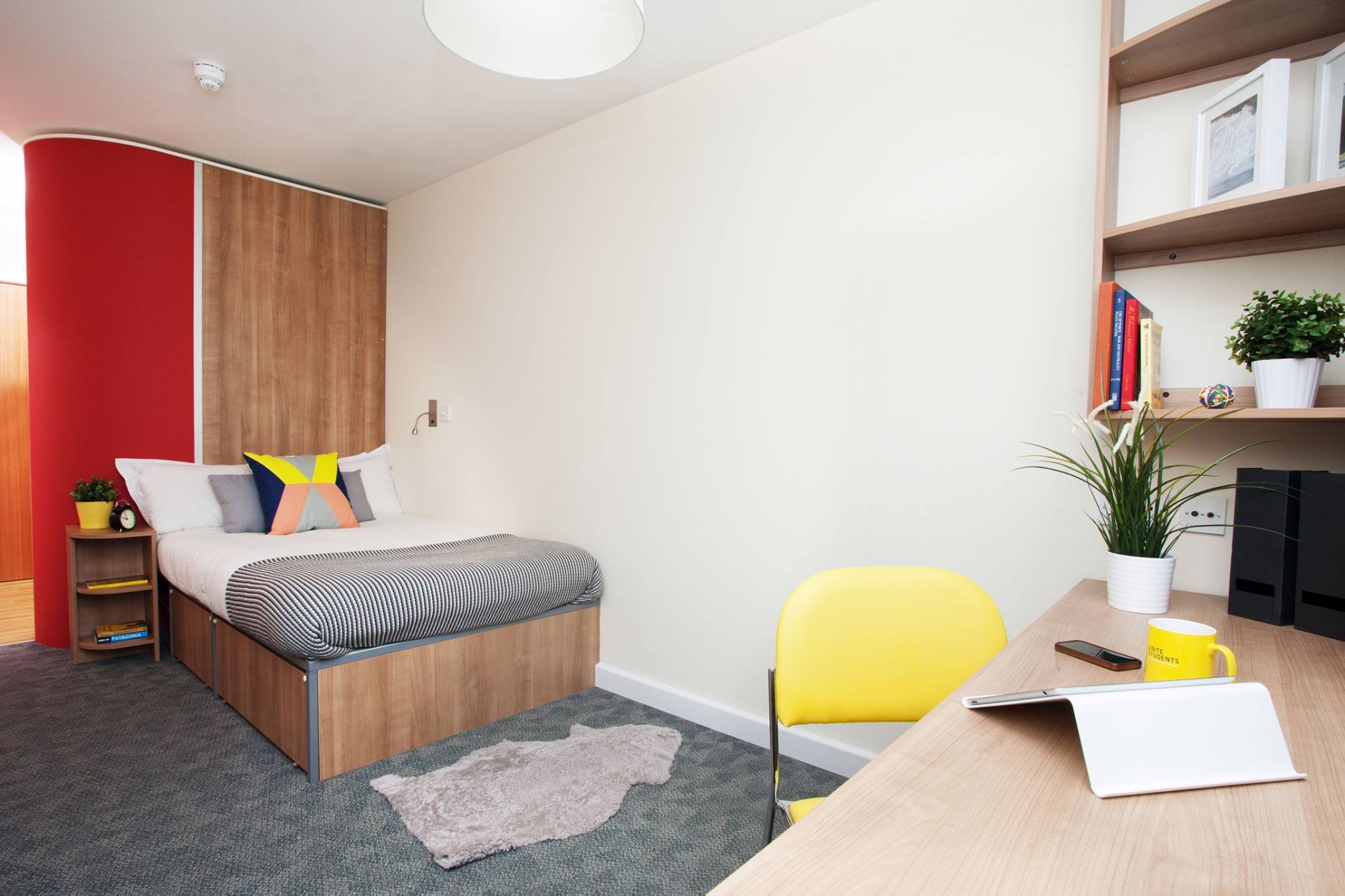 A student bedroom with a bed, desk and chair