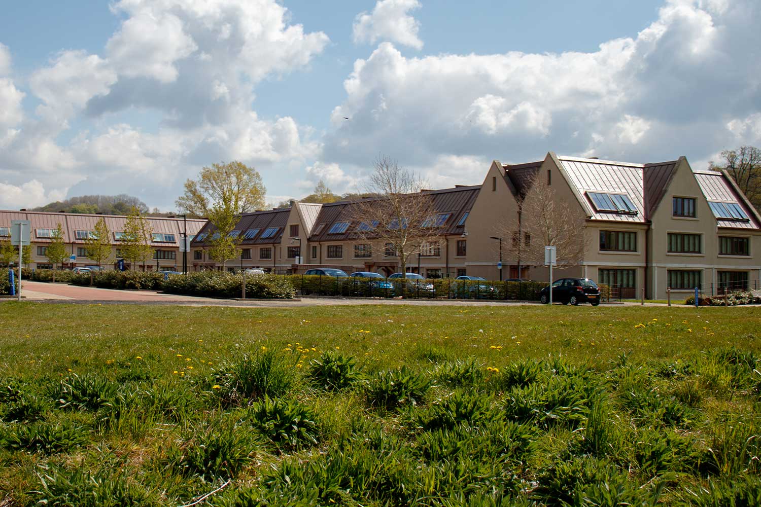 Student accommodation blocks surrounded by greenery