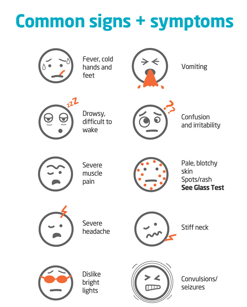A graphic showing the symptoms of meningitis