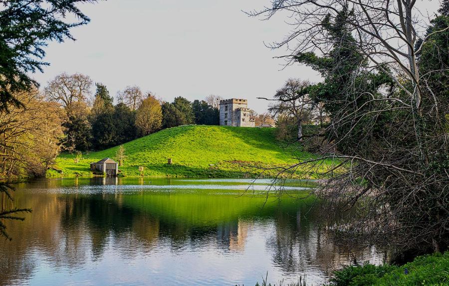 A picture of the lake in Newton Park Campus