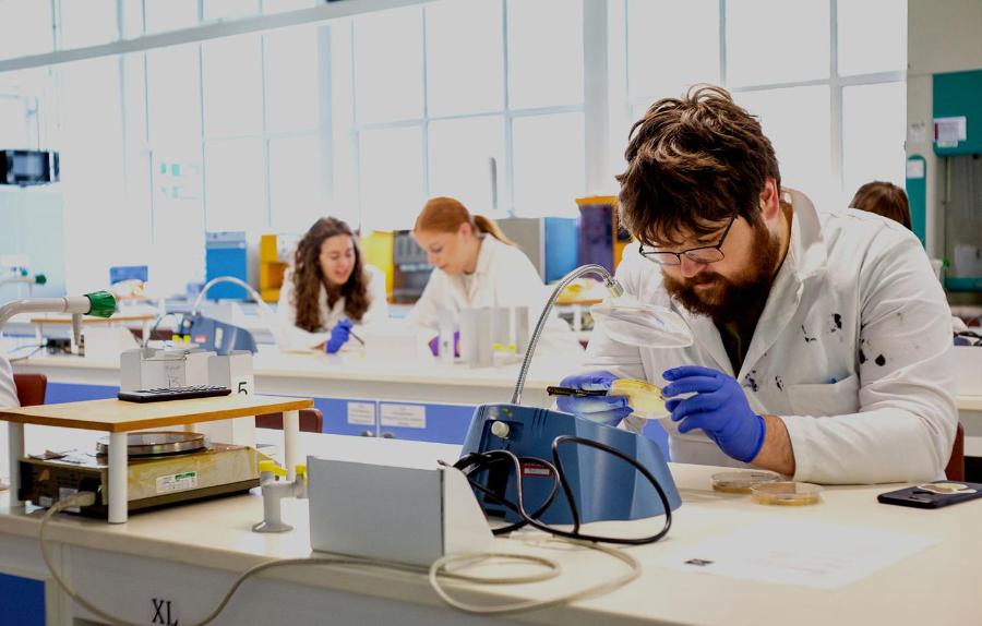 A picture of students in a science lab